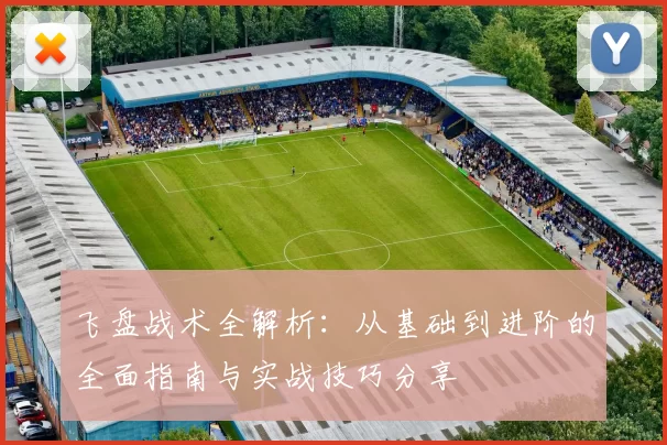 飞盘战术全解析：从基础到进阶的全面指南与实战技巧分享