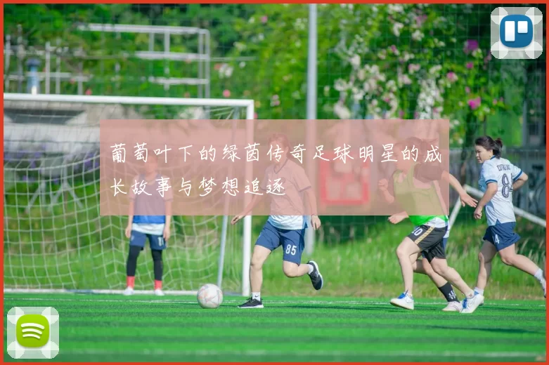 葡萄叶下的绿茵传奇足球明星的成长故事与梦想追逐