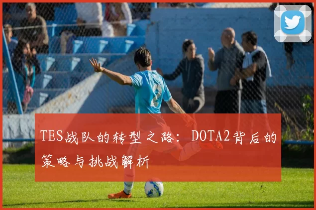 TES战队的转型之路：DOTA2背后的策略与挑战解析