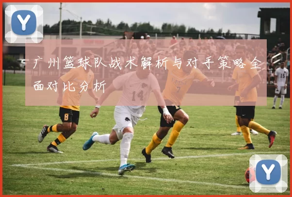 广州篮球队战术解析与对手策略全面对比分析