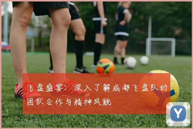 飞盘盛宴：深入了解成都飞盘队的团队合作与精神风貌