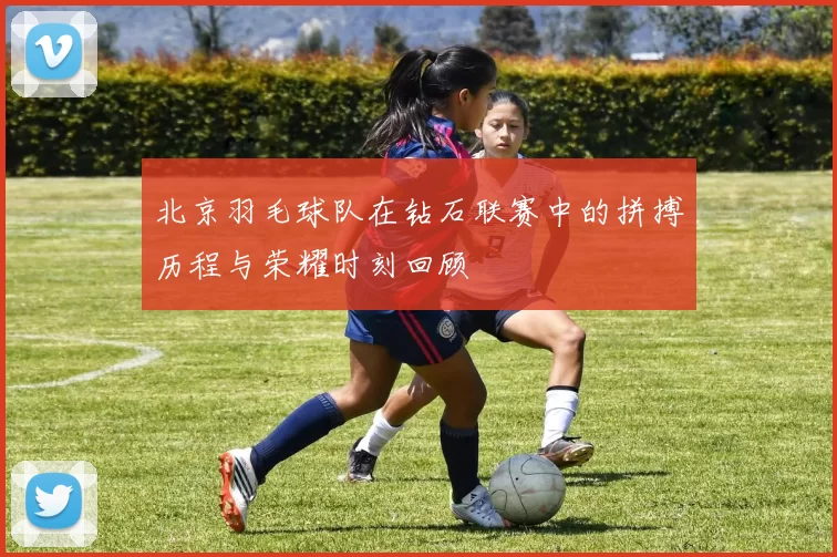 北京羽毛球队在钻石联赛中的拼搏历程与荣耀时刻回顾