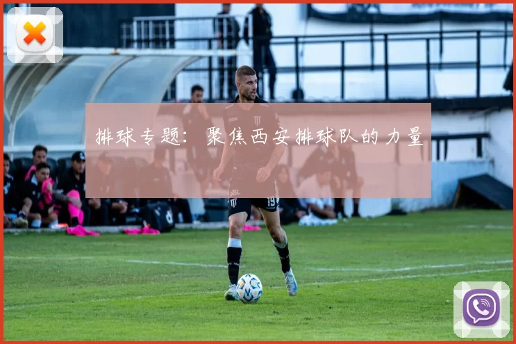 排球专题：聚焦西安排球队的力量