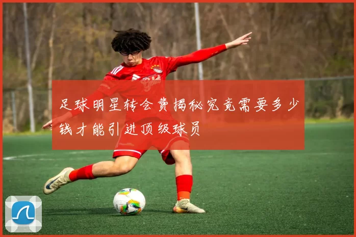 足球明星转会费揭秘究竟需要多少钱才能引进顶级球员