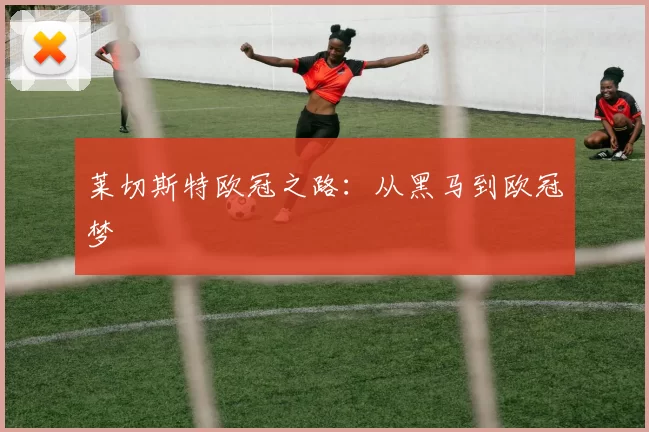 莱切斯特欧冠之路：从黑马到欧冠梦