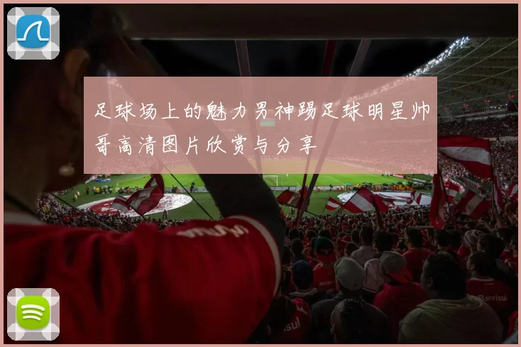 足球场上的魅力男神踢足球明星帅哥高清图片欣赏与分享