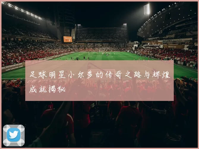 足球明星小尔多的传奇之路与辉煌成就揭秘