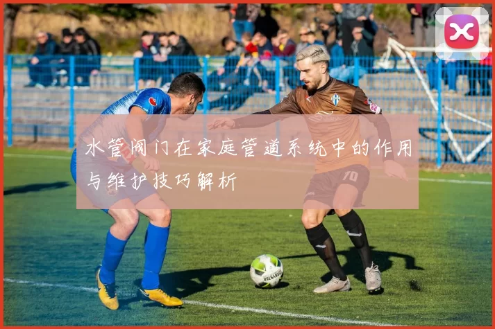 水管阀门在家庭管道系统中的作用与维护技巧解析
