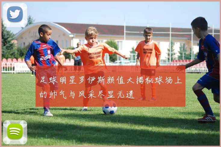足球明星罗伊斯颜值大揭秘球场上的帅气与风采尽显无遗
