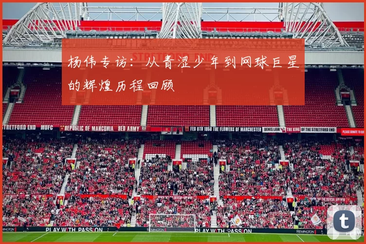 杨伟专访：从青涩少年到网球巨星的辉煌历程回顾